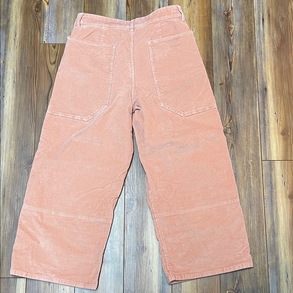Everlane Ankle Corduroy Pants in Peach - Picture 6 of 6